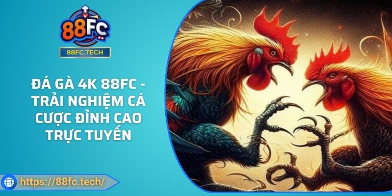 Đá Gà 4k 88FC - Trải Nghiệm Cá Cược Đỉnh Cao Trực Tuyến