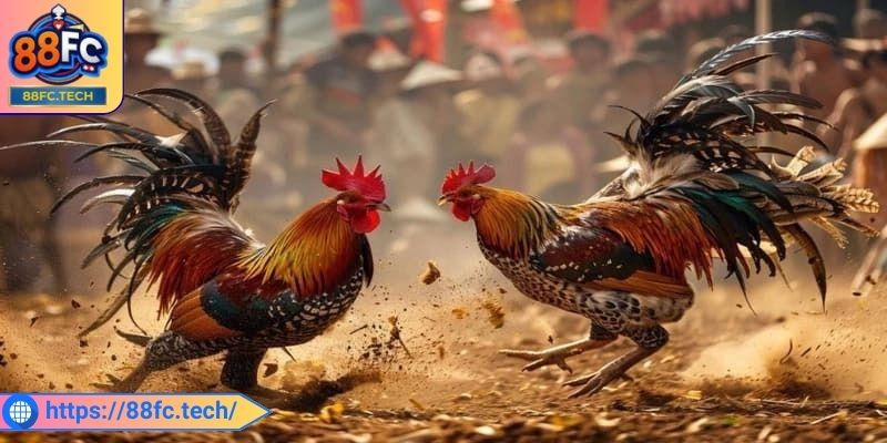 Chiến lược quản lý vốn cược hiệu quả nhất