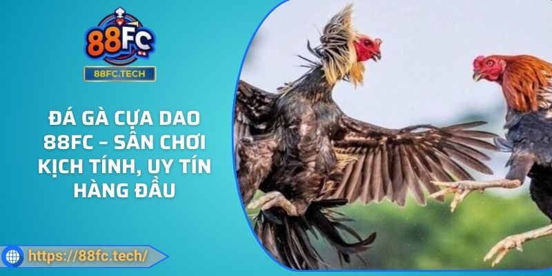 Đá Gà Cựa Dao 88FC – Sân Chơi Kịch Tính, Uy Tín Hàng Đầu
