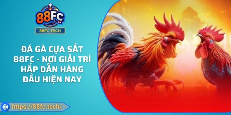Đá Gà Cựa Sắt 88FC - Nơi Giải Trí Hấp Dẫn Hàng Đầu Hiện Nay