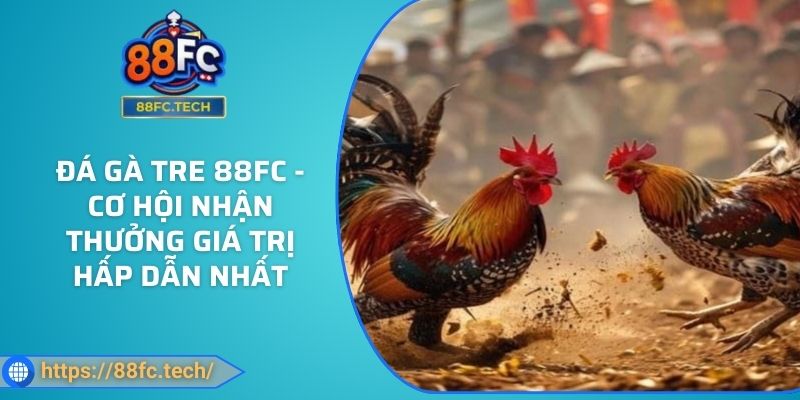 Đá Gà Tre 88FC - Cơ Hội Nhận Thưởng Giá Trị Hấp Dẫn Nhất